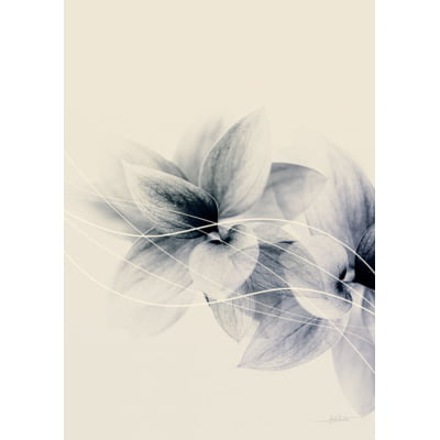 Quadro Flower In The Misti I por Joel Santos