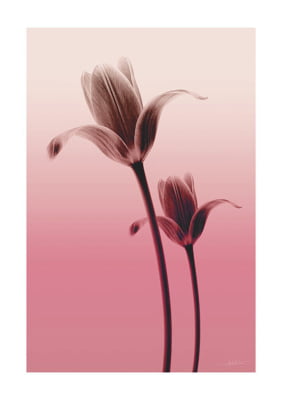 Quadro Flower Layer I por Joel Santos
