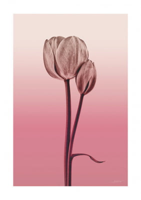 Quadro Flower Layer II por Joel Santos