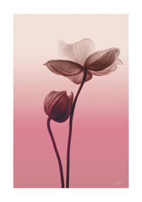 Quadro Flower Layer III por Joel Santos