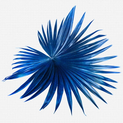 Quadro Folha Azul I por Fer Harbs -  CATEGORIAS