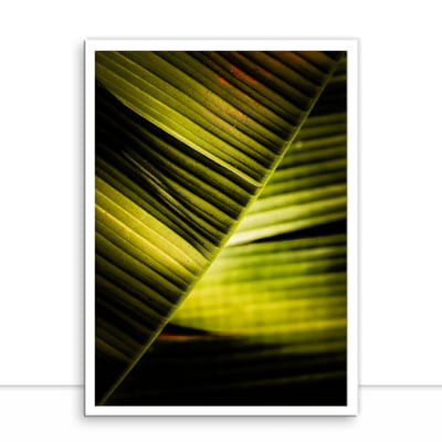 Quadro folha de bananeira por Edmoraes -  CATEGORIAS