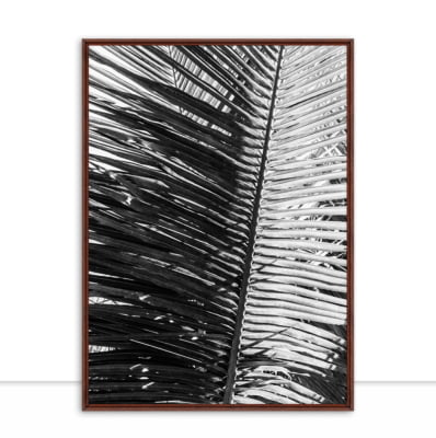 Quadro Folhagem de palmeira por Edmoraes -  CATEGORIAS