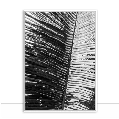 Quadro Folhagem de palmeira por Edmoraes -  CATEGORIAS