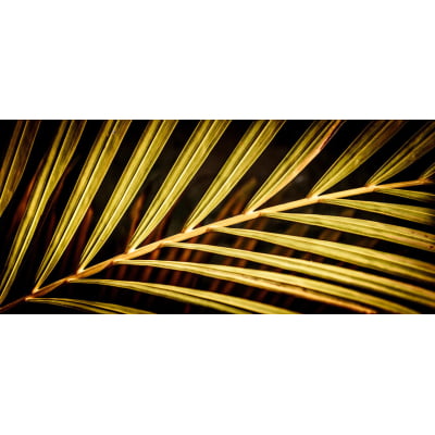 Quadro folhas douradas  por Edmoraes -  CATEGORIAS