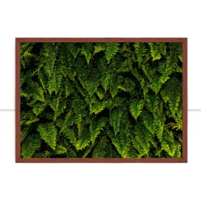 Quadro Green Plants 2 por Elli Arts -  CATEGORIAS