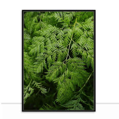 Quadro Green Plants por Elli Arts -  CATEGORIAS