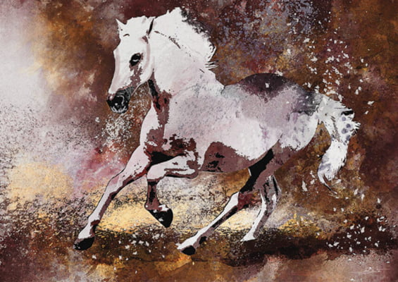 Quadro Horse Color por Joel Santos