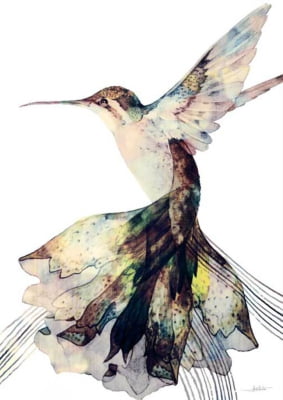 Quadro Hummingbird II por Joel Santos -  CATEGORIAS