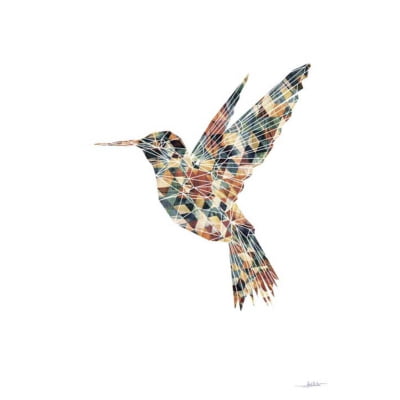 Quadro Hummingbird New por Joel Santos -  CATEGORIAS
