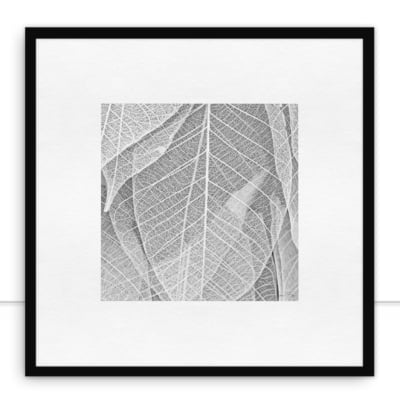 Quadro Leaf veins 1 por Juliana Bogo -  CATEGORIAS
