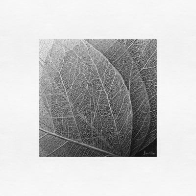 Quadro Leaf veins 3 por Juliana Bogo