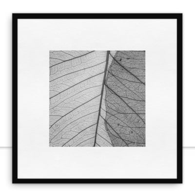 Quadro Leaf veins 4 por Juliana Bogo -  CATEGORIAS