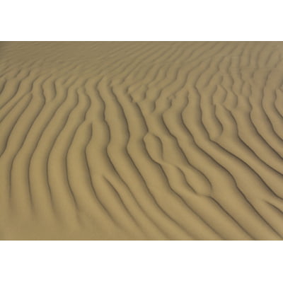 Quadro Lençóis Maranhenses Areia por Solange Piermann