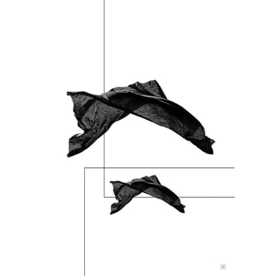 Quadro Moving Fabrics II por Joel Santos -  CATEGORIAS