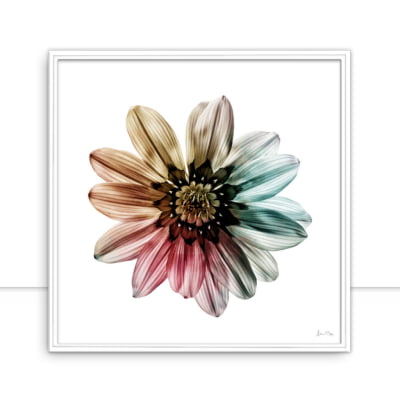Quadro Multicolor Flower II por Juliana Bogo -  CATEGORIAS