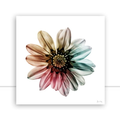 Quadro Multicolor Flower II por Juliana Bogo -  CATEGORIAS
