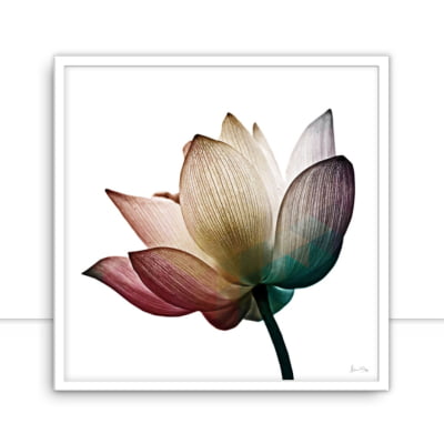 Quadro Multicolor Flower IV por Juliana Bogo -  CATEGORIAS