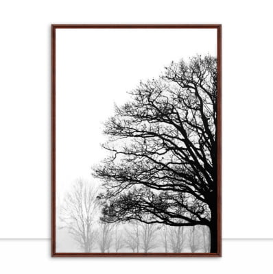 Quadro Nature Texture PB I por Joel Santos -  CATEGORIAS