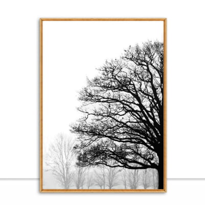Quadro Nature Texture PB I por Joel Santos -  CATEGORIAS