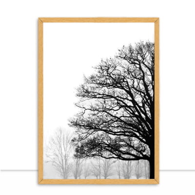 Quadro Nature Texture PB I por Joel Santos -  CATEGORIAS