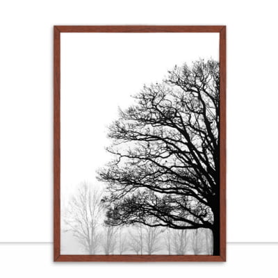 Quadro Nature Texture PB I por Joel Santos -  CATEGORIAS