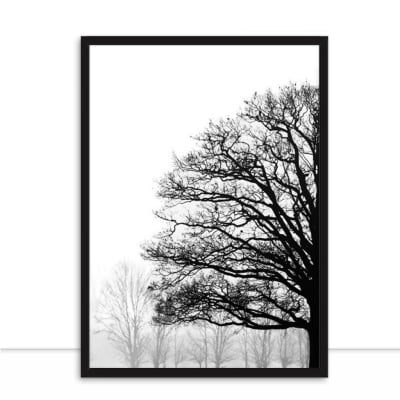 Quadro Nature Texture PB I por Joel Santos -  CATEGORIAS