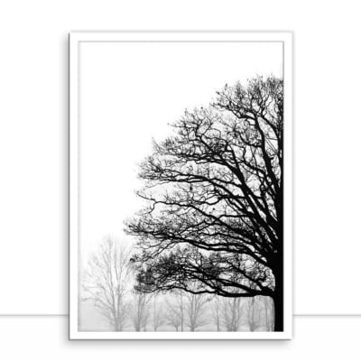 Quadro Nature Texture PB I por Joel Santos -  CATEGORIAS