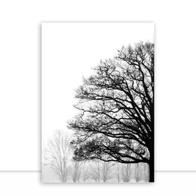 Quadro Nature Texture PB I por Joel Santos -  CATEGORIAS
