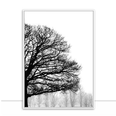 Quadro Nature Texture PB II por Joel Santos -  CATEGORIAS