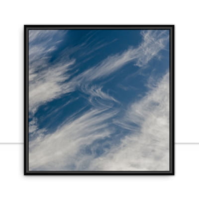 Quadro Nuvem Sinuosa Edmoraes -  CATEGORIAS
