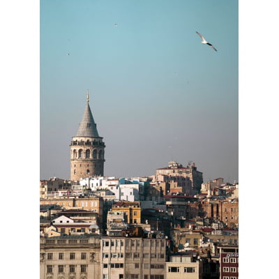 Quadro O Pássaro de Istambul por HitTheRoadFred
