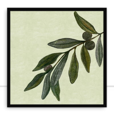 Quadro Olive 3 por Bruna Deluca -  CATEGORIAS