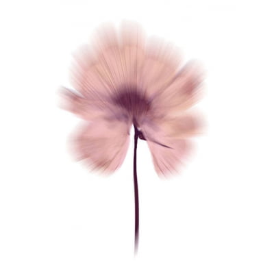 Quadro One Flower II por Patricia Costa