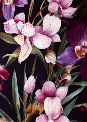 Quadro Orchids 1 por Renato Muniz -  CATEGORIAS