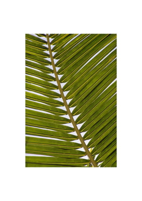 Quadro Palm por Elli Arts