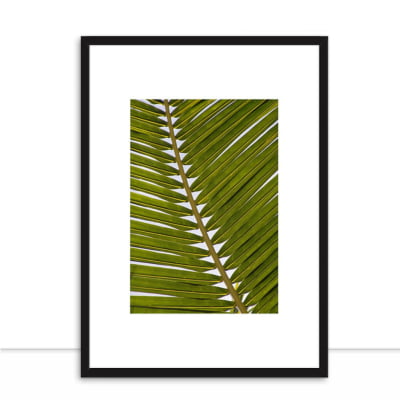 Quadro Palm por Elli Arts -  CATEGORIAS
