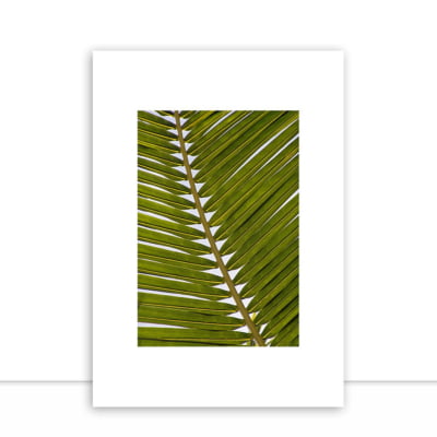 Quadro Palm por Elli Arts -  CATEGORIAS