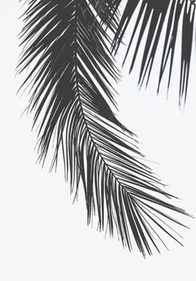 Quadro Palm Tree I por Elli Arts