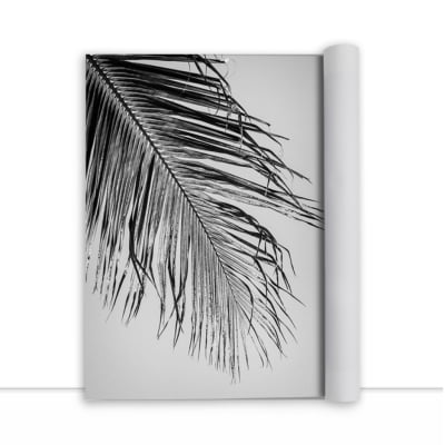 Quadro Palmeira em Contraluz 3 por Edmoraes -  CATEGORIAS