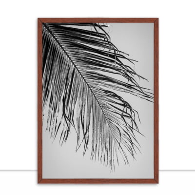 Quadro Palmeira em Contraluz 3 por Edmoraes -  CATEGORIAS