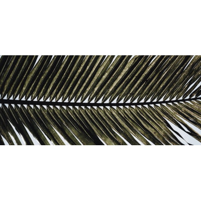 Quadro Palmeira em Contraluz 5 por Edmoraes -  CATEGORIAS
