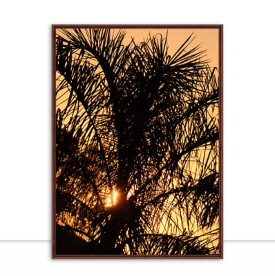 Quadro Palmeira em contraluz por Edmoraes -  CATEGORIAS