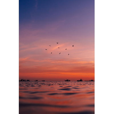 Quadro Pássaros Sob o Mar por Lucas Meneses -  CATEGORIAS