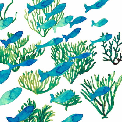 Quadro Peixinhos e algas por Sussu e Juju