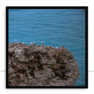 Quadro Pelicanos Q por Mafe Romero -  CATEGORIAS