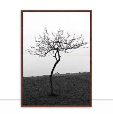 Quadro Pequena Árvore por André Pizzolo -  CATEGORIAS