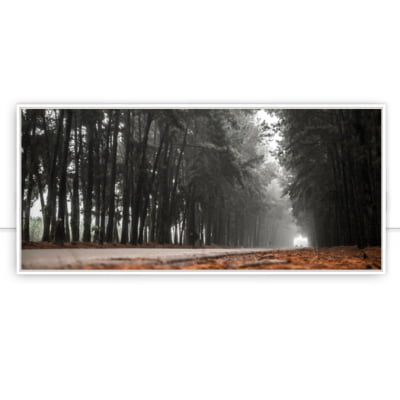 Quadro Pinheiro névoa estrada linda cena por Pignata -  CATEGORIAS