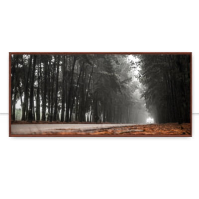 Quadro Pinheiro névoa estrada linda cena por Pignata -  CATEGORIAS