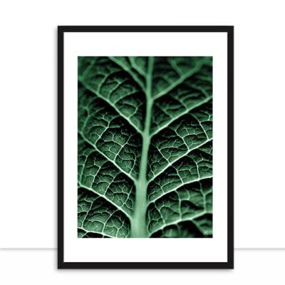 Quadro Plants Green I por Joel Santos -  CATEGORIAS